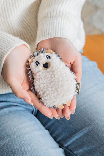 Bitten Keyfriend Spiky Hedgehog