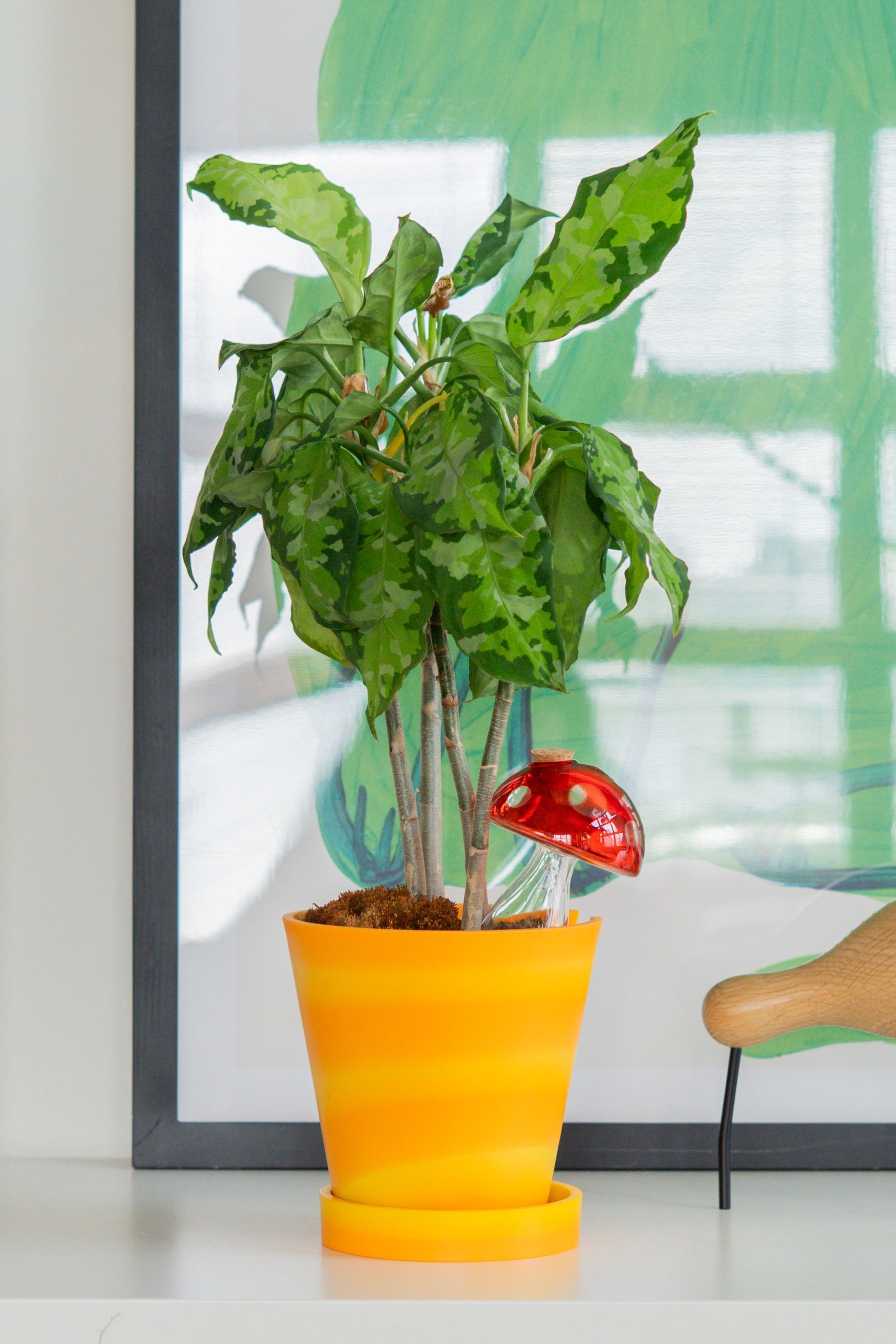 Bitten Plant Watering Mushroom