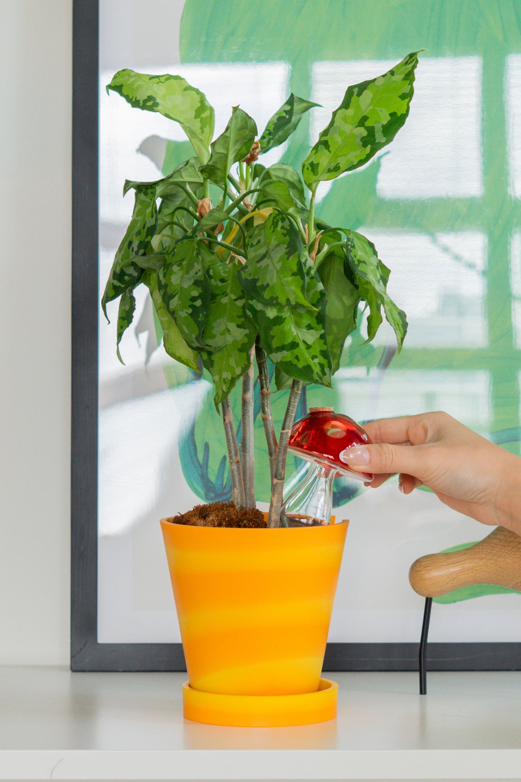 Bitten Plant Watering Mushroom