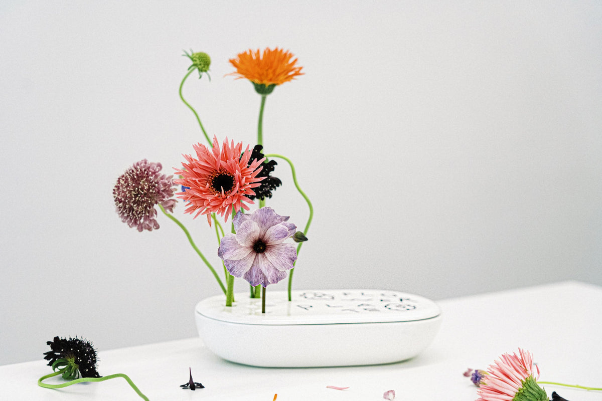 Bmix Studio x INAP Edition Flower Plate White