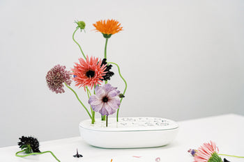 Bmix Studio x INAP Edition Flower Plate White