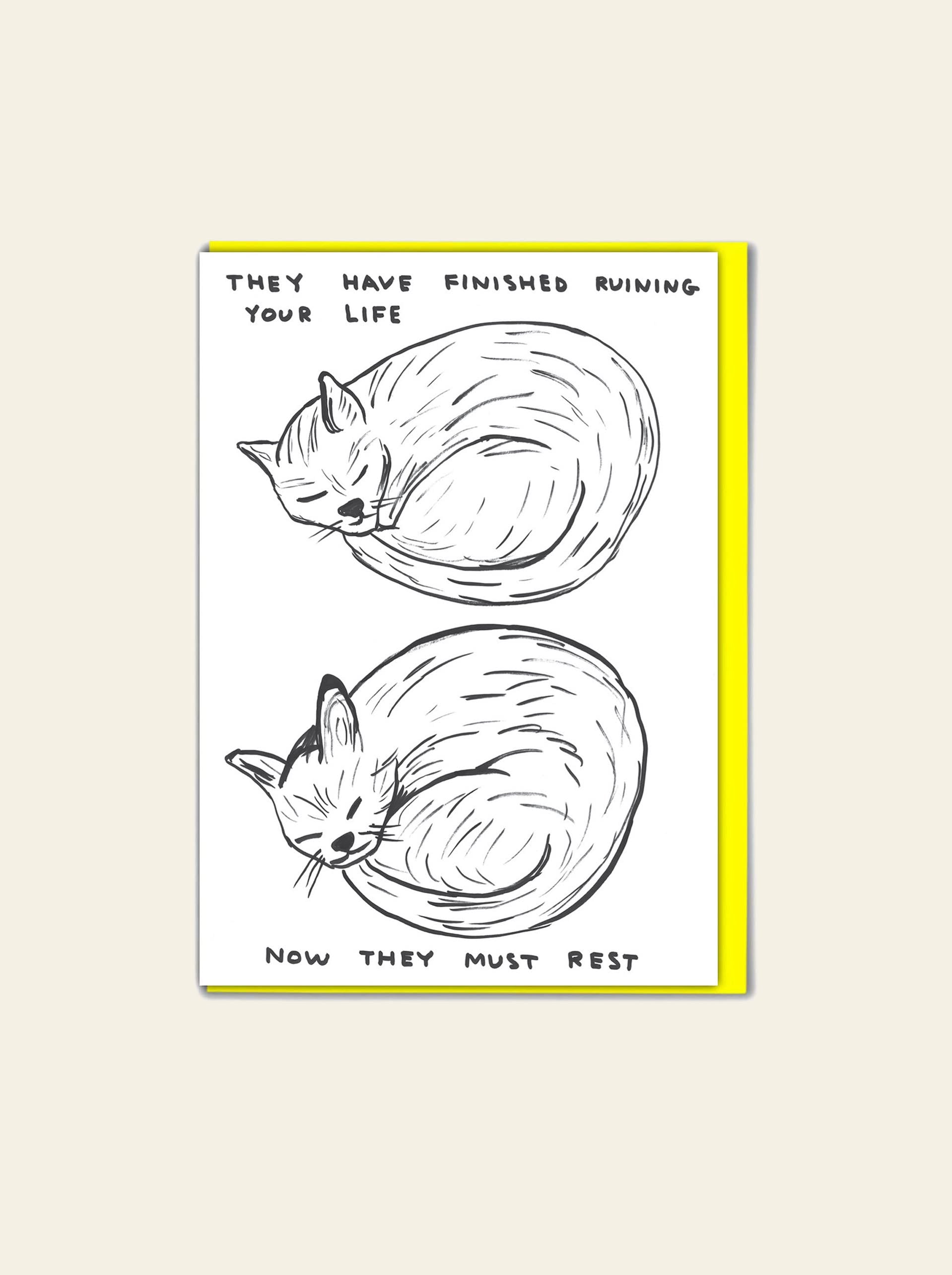 Brainbox Candy David Shrigley Finished Ruining Your Life Greeting Card