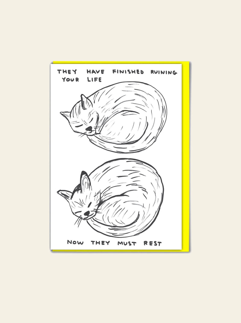 Brainbox Candy David Shrigley - 毁掉你人生贺卡