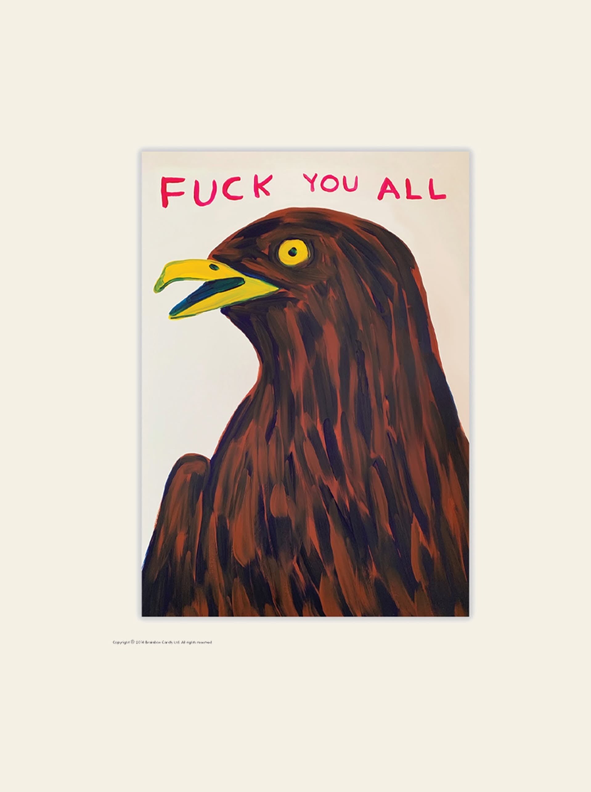 Brainbox Candy David Shrigley Fuck You All Bird Postcard (A6)