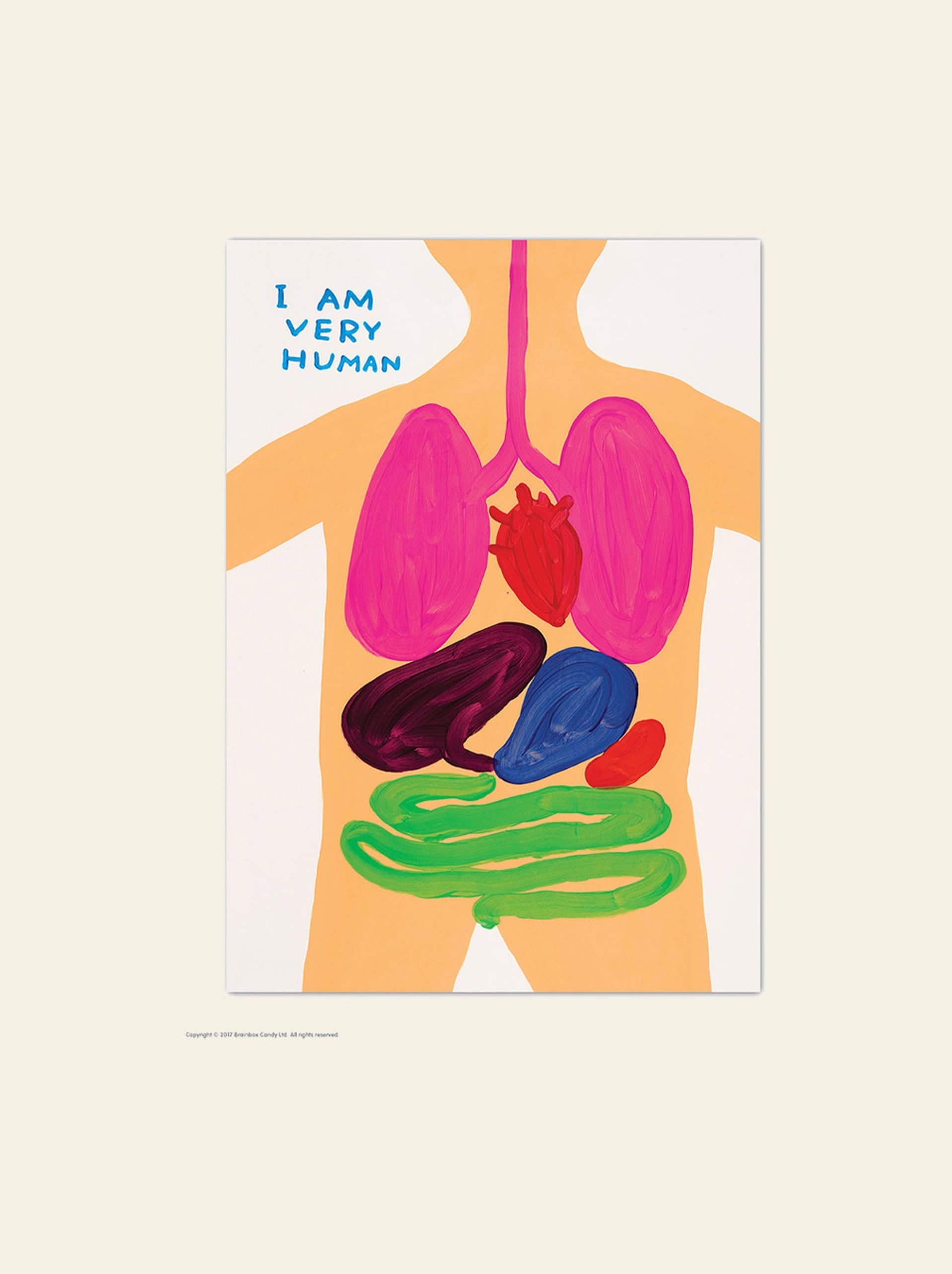 Brainbox Candy David Shrigley I Am Very Human Postcard (A6)