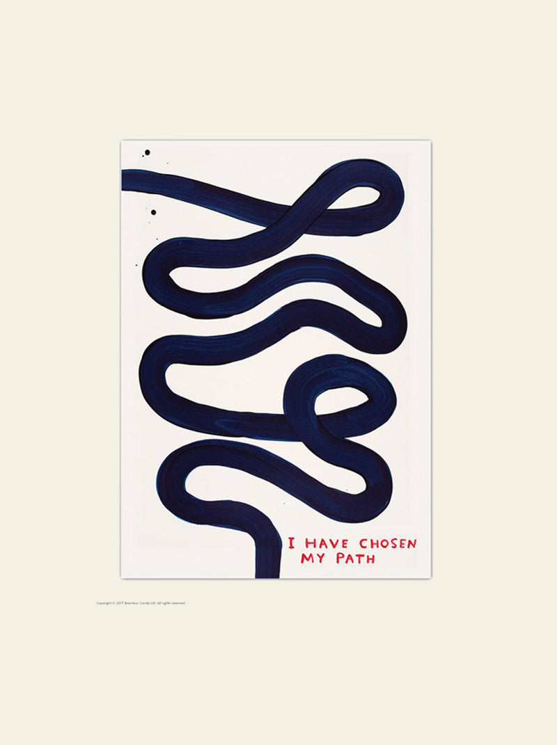 Brainbox Candy David Shrigley - I Have Chosen My Path Postcard (A6)