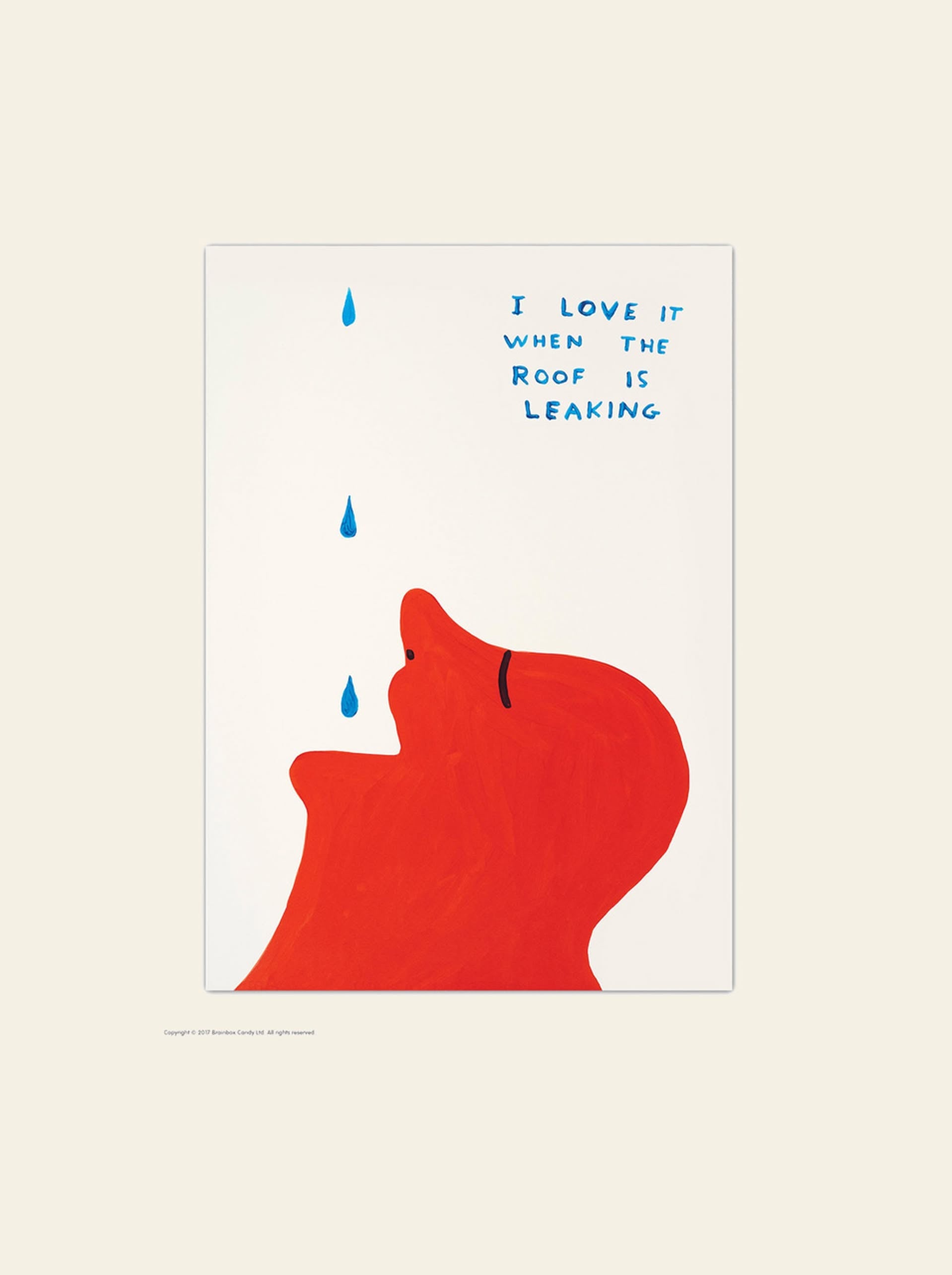 Brainbox Candy David Shrigley Roof Leaking Postcard (A6)