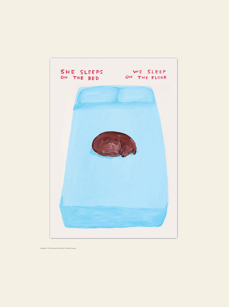 Brainbox Candy David Shrigley - She Sleeps On The Bed Postcard (A6)