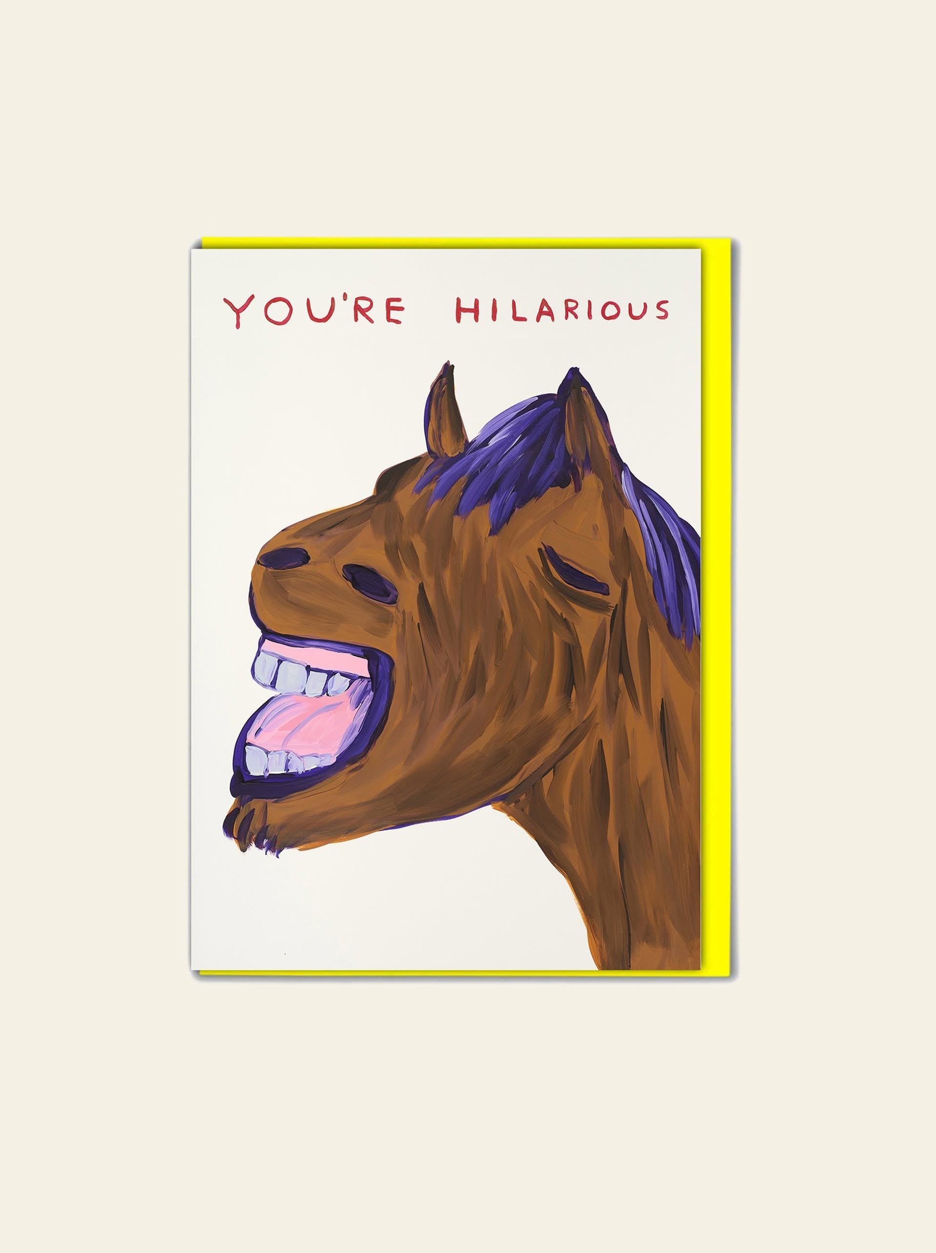 Brainbox Candy David Shrigley You're Hilarious Greeting Card