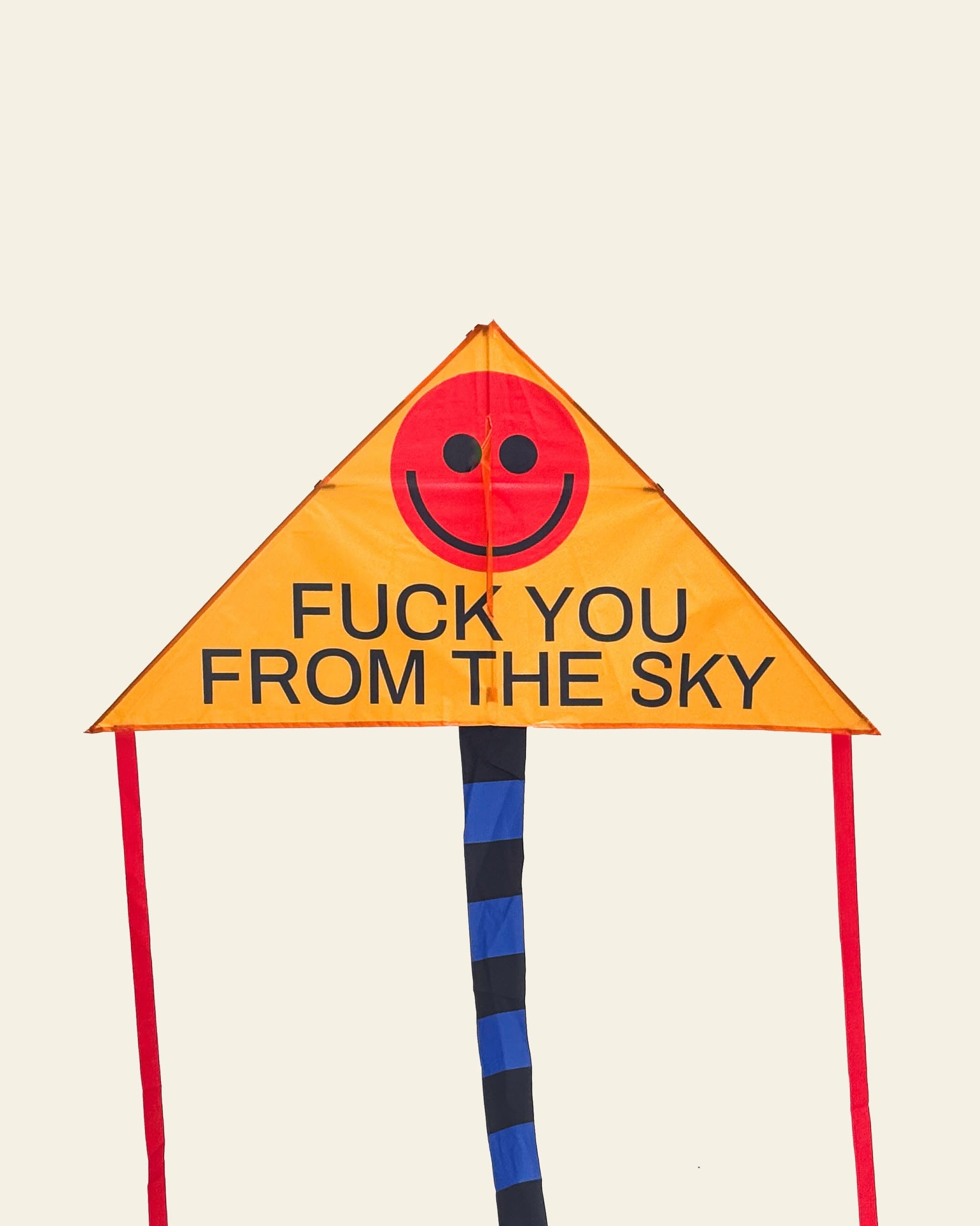 Brutto Studio Fuck You From The Sky Kite - Multicolour