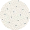 Color Image