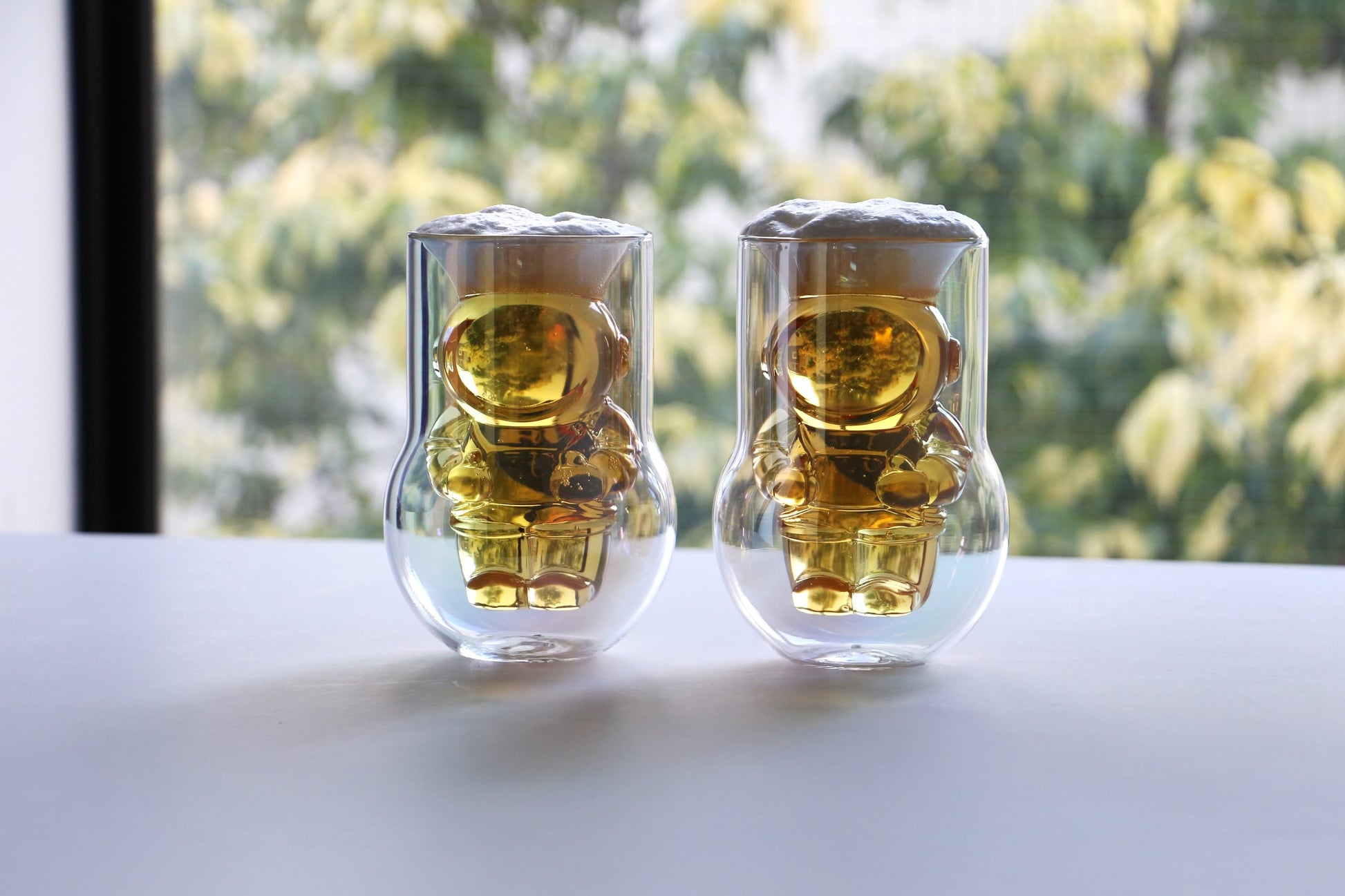 DETAIL NASA Astronaut Double-Walled Glasses Set of 2 Clear