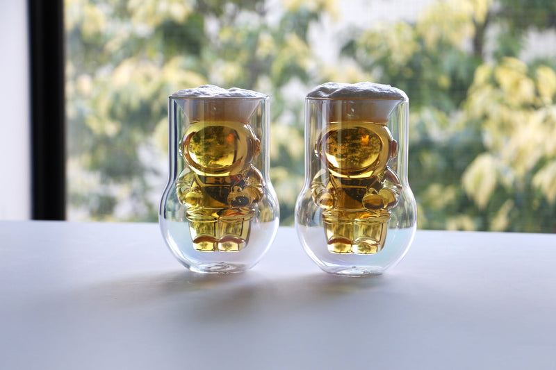 DETAIL NASA Astronaut Double-Walled Glasses, Set of 2 - Clear