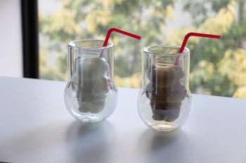 DETAIL NASA Astronaut Double-Walled Glasses Set of 2 Clear