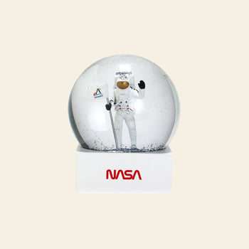 DETAIL Snow Globe NASA