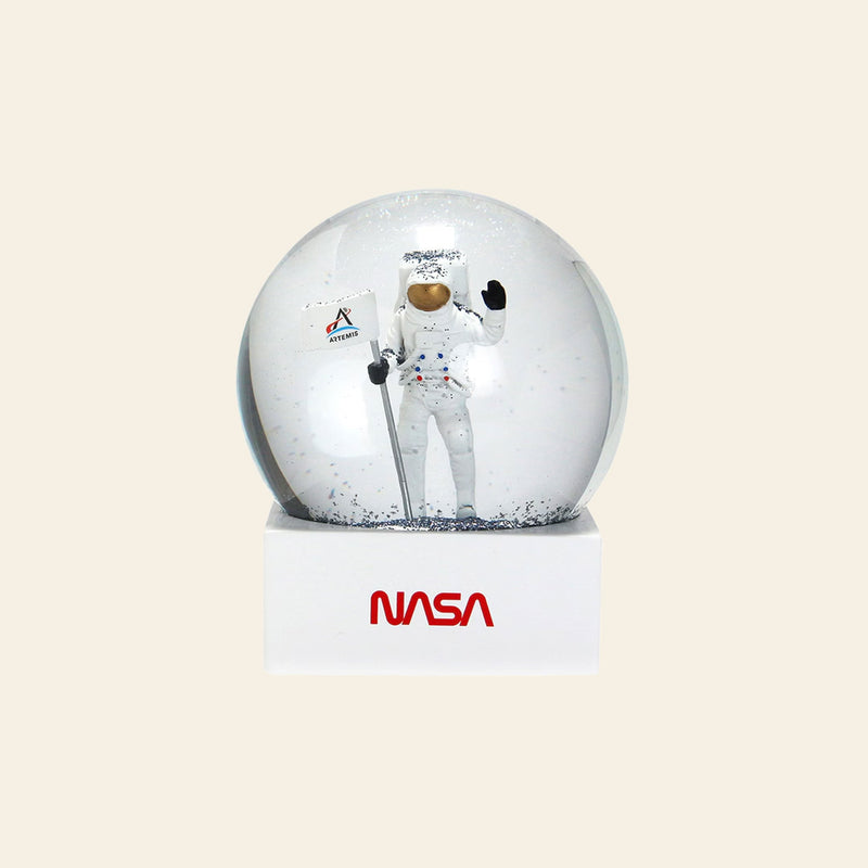 DETAIL Snow Globe NASA
