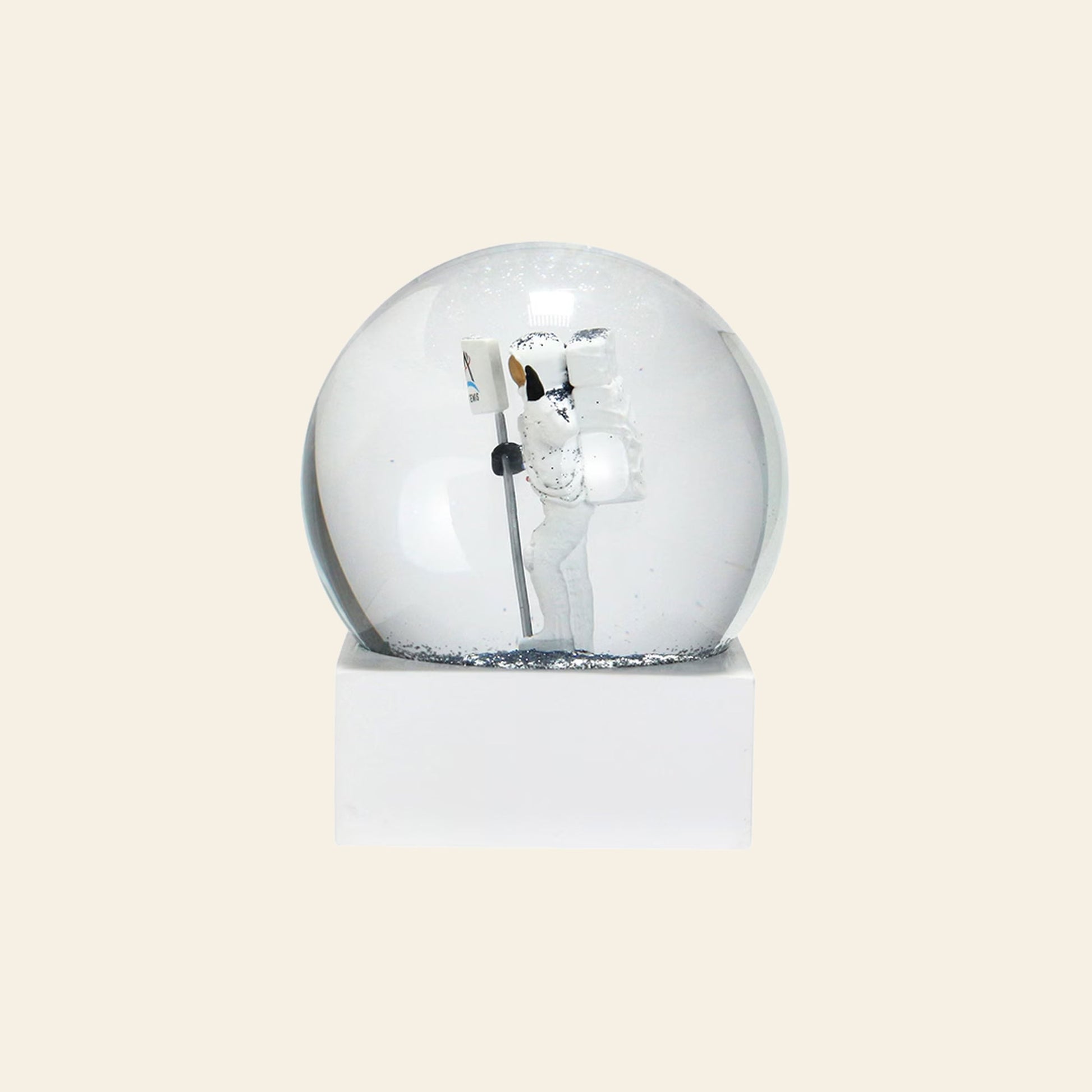 DETAIL Snow Globe NASA