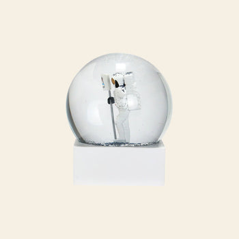 DETAIL Snow Globe NASA