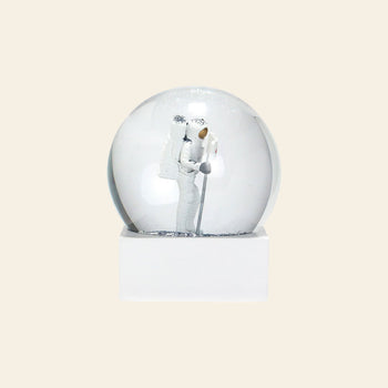 DETAIL Snow Globe NASA