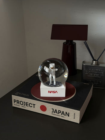 DETAIL Snow Globe NASA