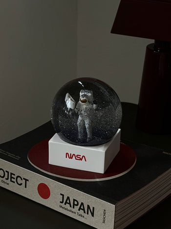 DETAIL Snow Globe NASA