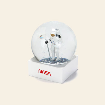 DETAIL Snow Globe NASA