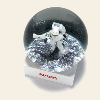 DETAIL Snow Globe NASA