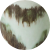 Dada