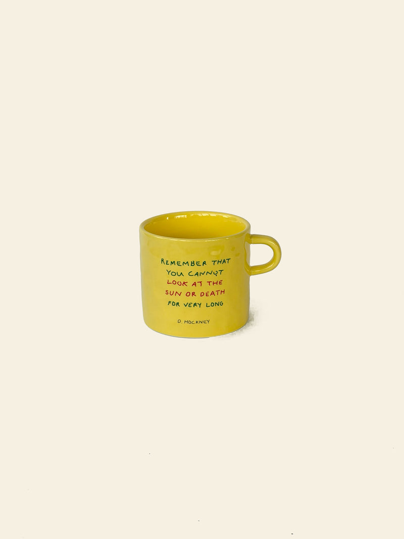 David Hockney Bigger & Closer Mug