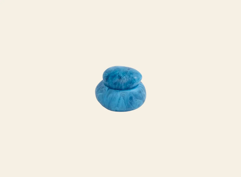 恐龙图案小鹅卵石罐