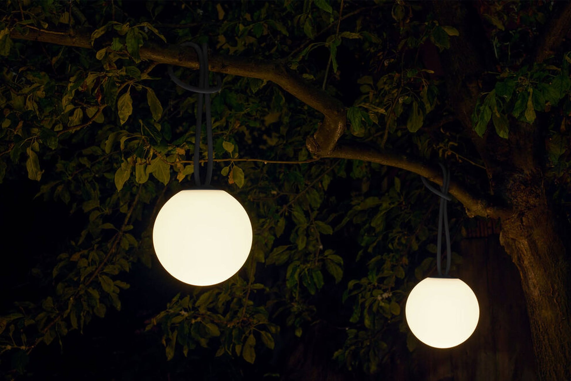 Two glowing Fatboy Bolleke lamps by Fatboy hang from a tree at night, casting warm ambient light on the surrounding leaves. Their illumination stands out against the dark background, creating a striking outdoor lighting effect.