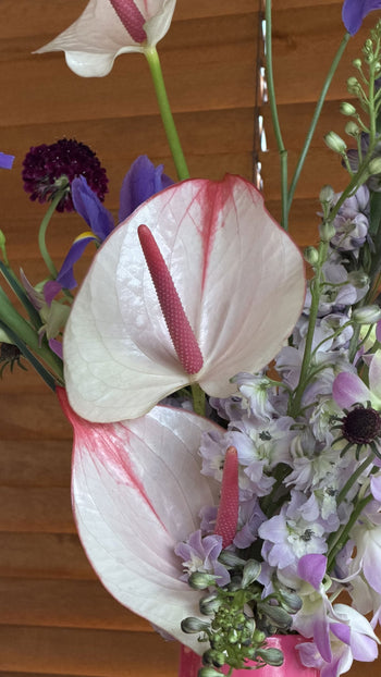 Fibre Flowers x Stacked Store Pretty in Pink Vase Arrangement (Delivery on Sunday 10 May)