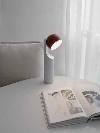 Fine Lumens MONO Portable Reading Lamp Rust/Sky
