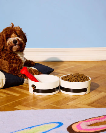 Fluid Market Dachshund Bowl
