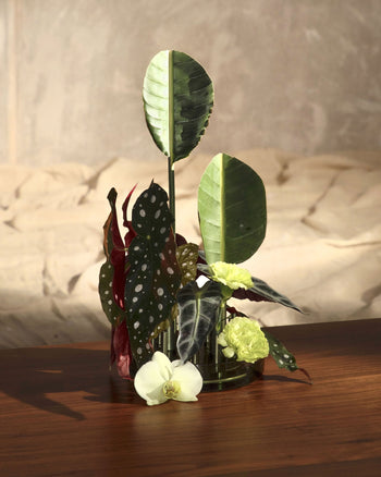 Fritz Hansen Ikeru Low Vase Forest Green