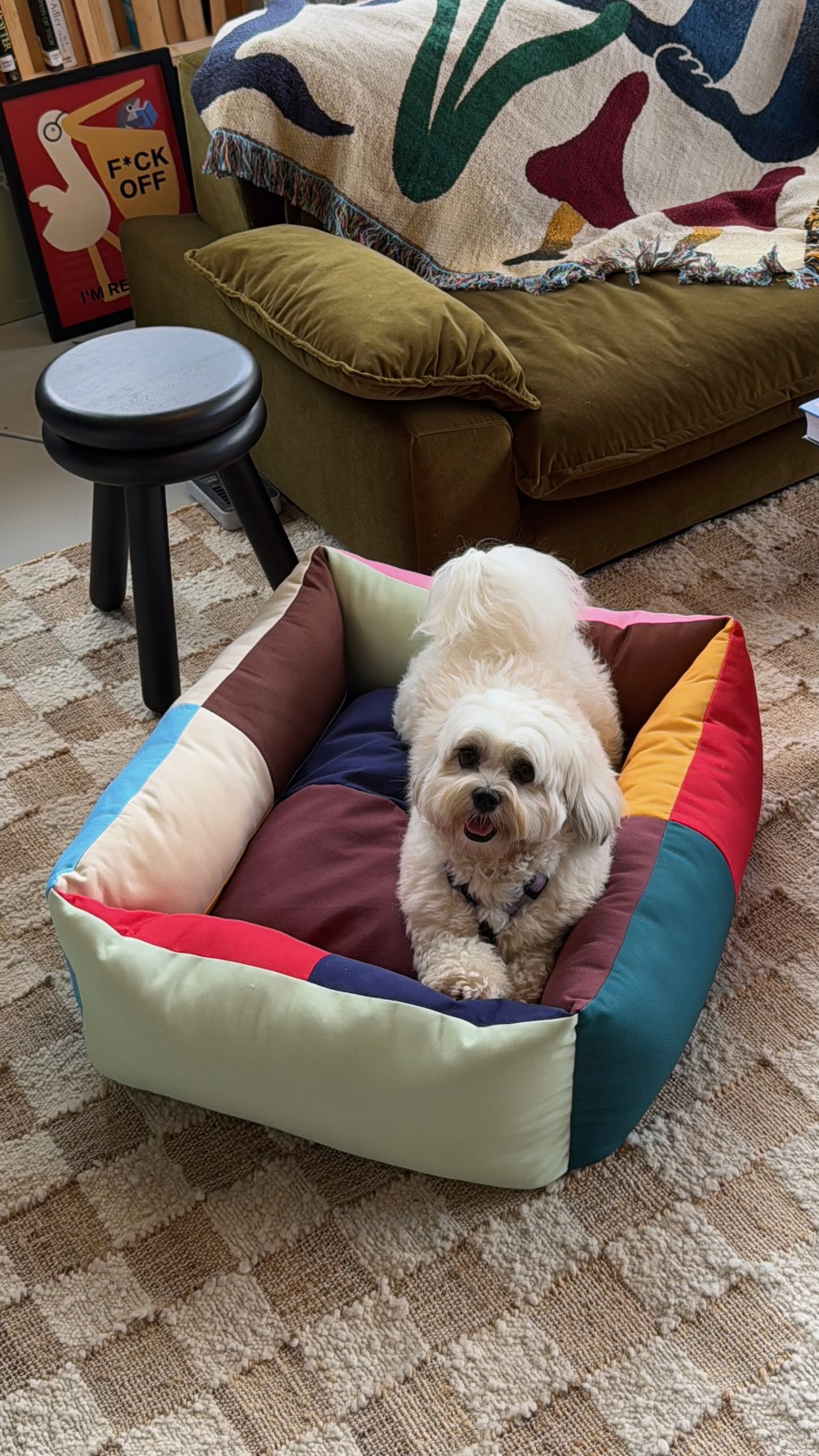 HAY Dogs Bed M - Multi