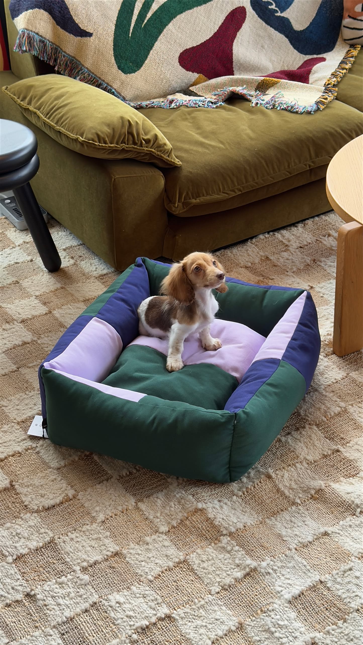 HAY Dogs Bed S - Green/Lavender/Blue