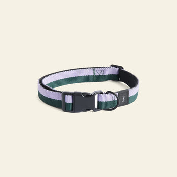 Hay Dogs Collar Flat M L Lavender Green