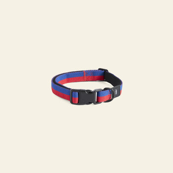 Hay Dogs Collar Flat S M Red Blue