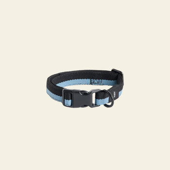 HAY Dogs Collar Flat S/M