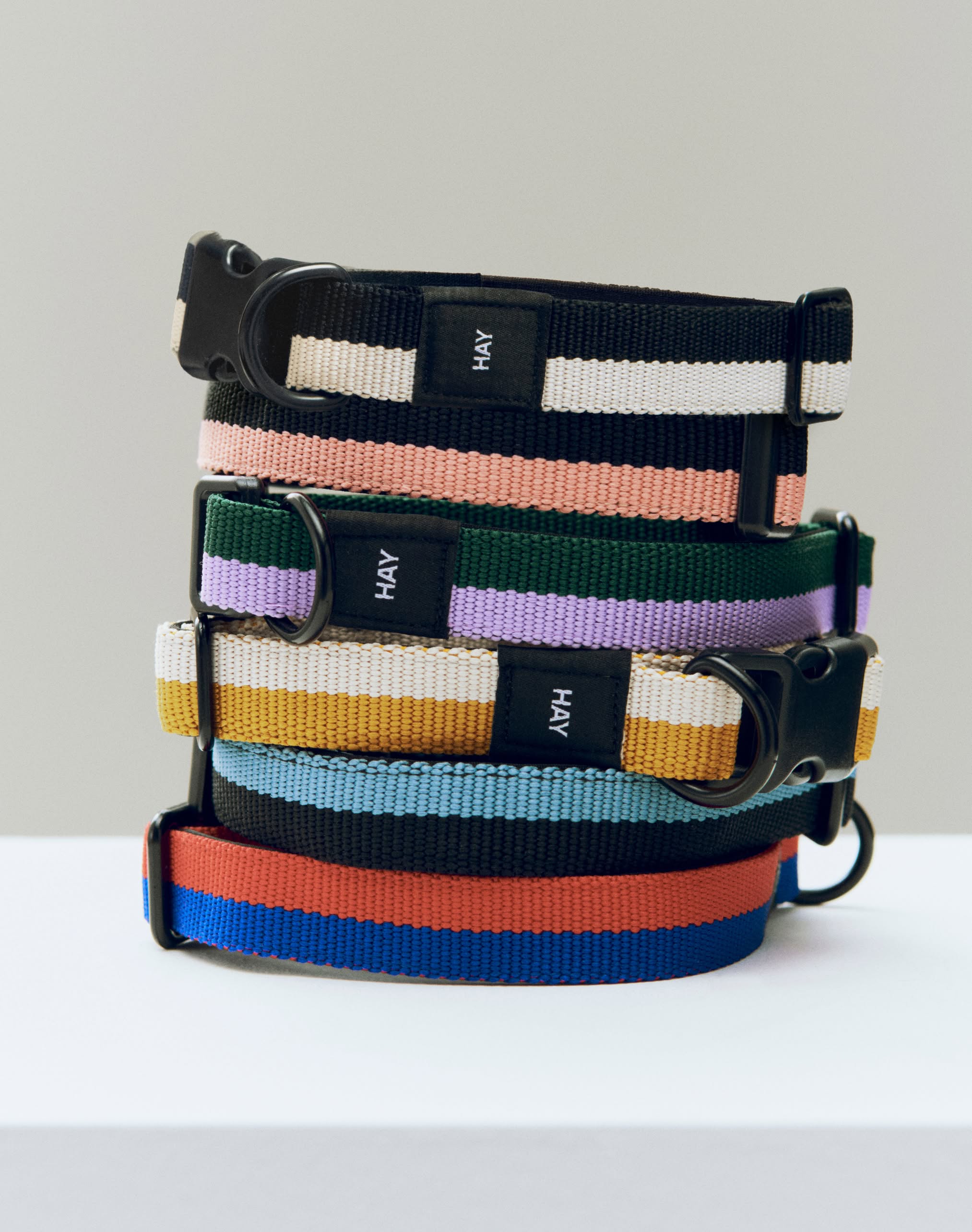 HAY Dogs Collar Flat S/M
