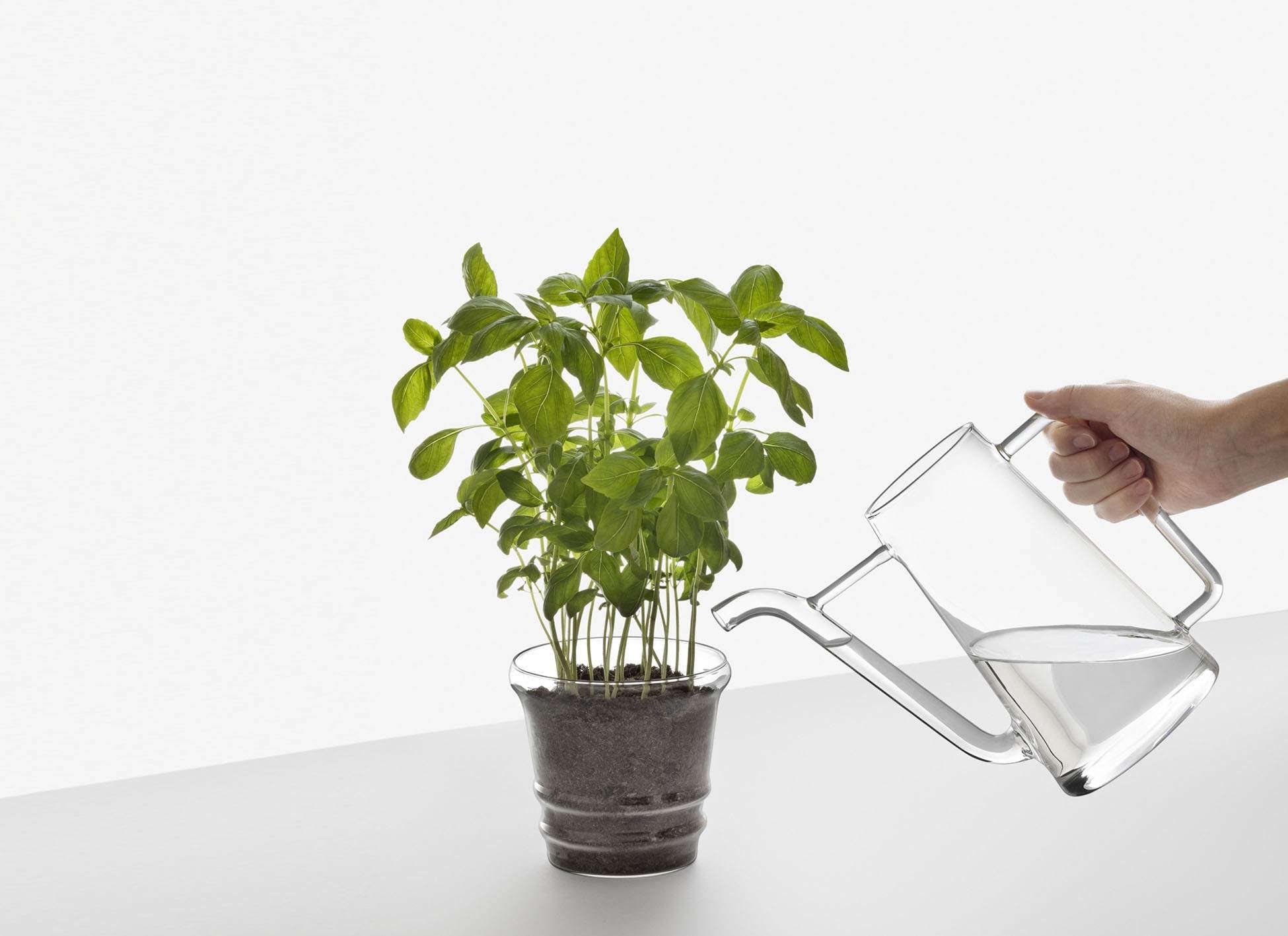 Ichendorf Milano Boboli Watering Can