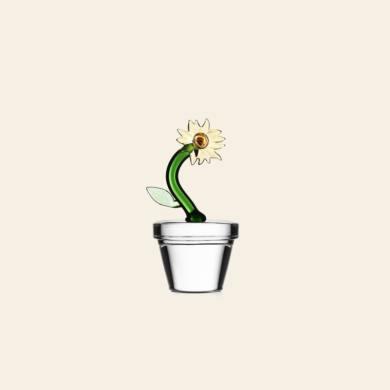 Ichendorf Milano Botanica 系列纸镇 - 向日葵