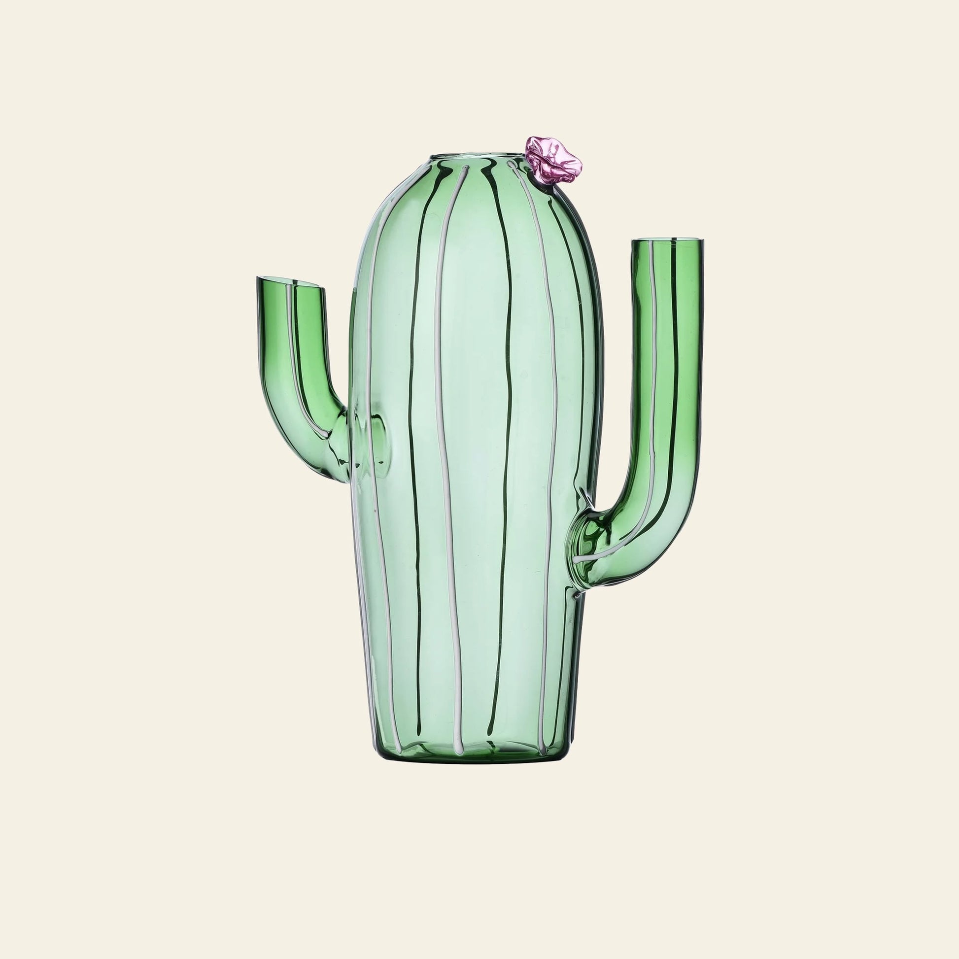 Ichendorf Milano Desert Plants Jug Green Cactus Pink Flower