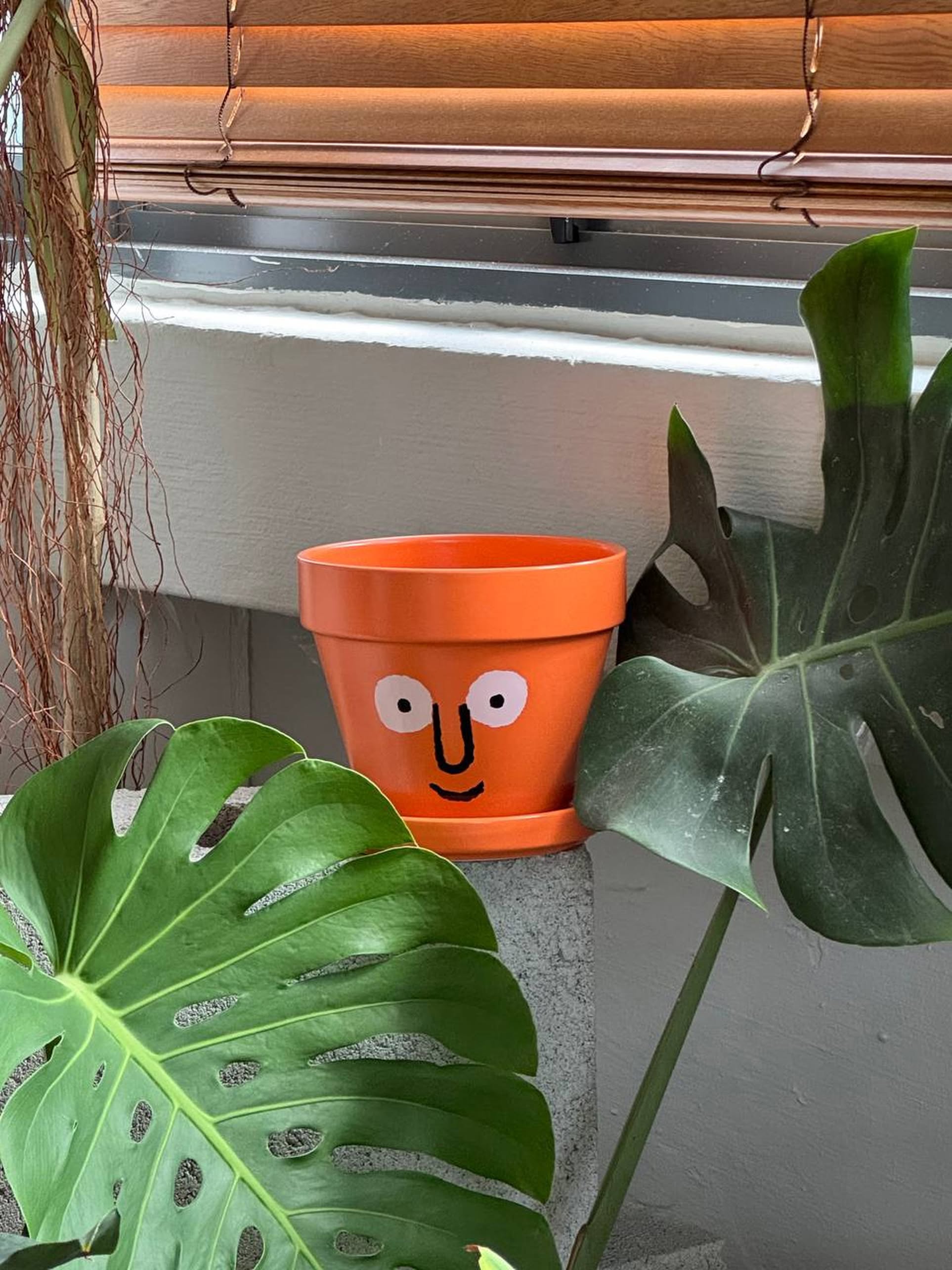 NouNou PotPot Orange