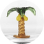 Palm Tree
