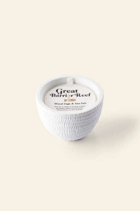 Pass It On Great Barrier Reef Candle