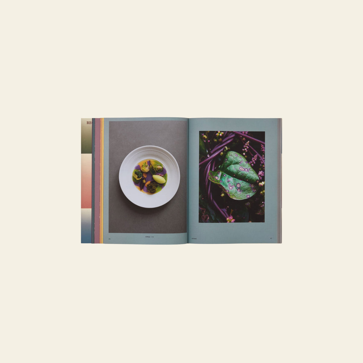 Phaidon Beyond Peaks The Cuisine of Schloss Schauenstein