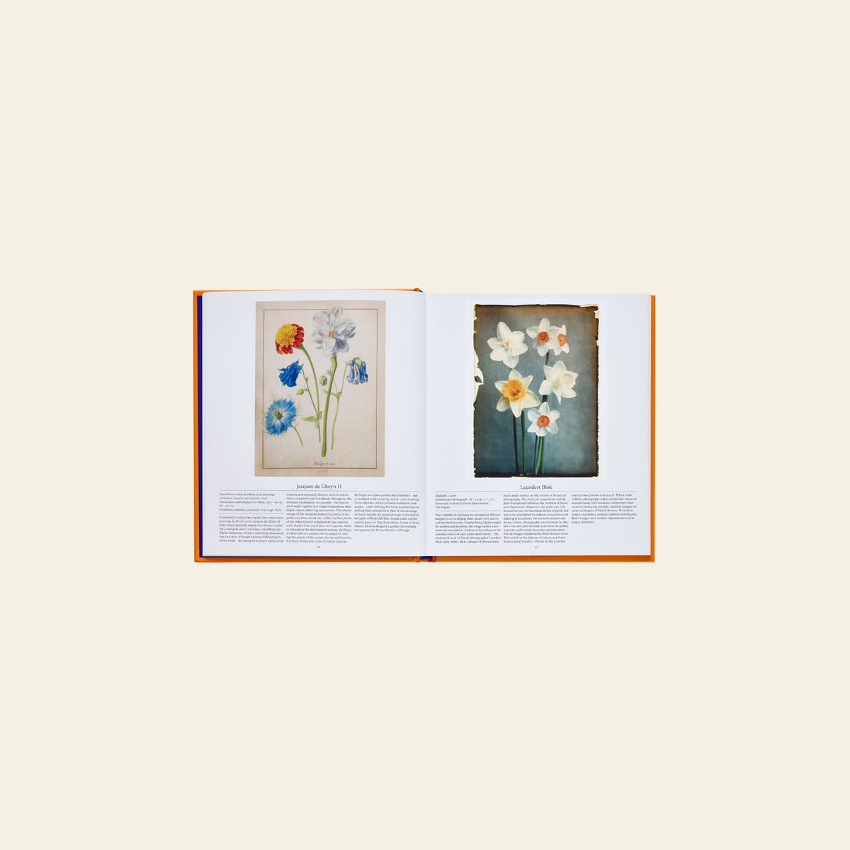 Phaidon Flower Exploring the World in Bloom (Compact)