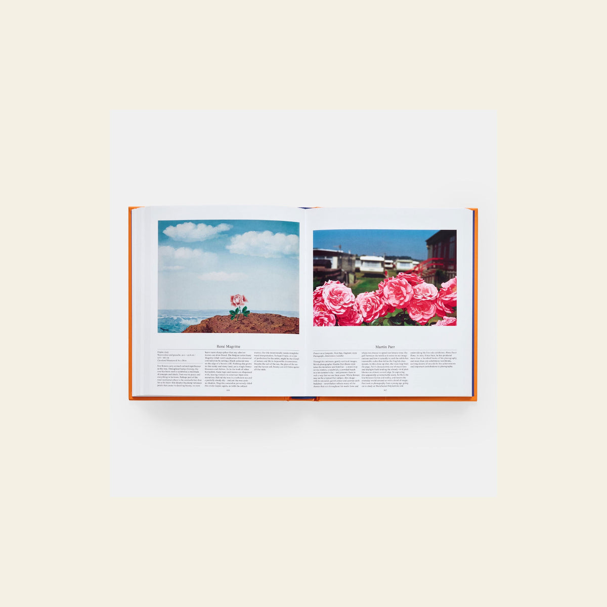 Phaidon Flower Exploring the World in Bloom (Compact)